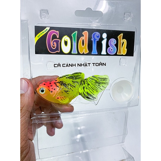 CÁ BA ĐUÔI GOLD FISH DẠ QUANG NỔI TRANG TRÍ BỂ CÁ