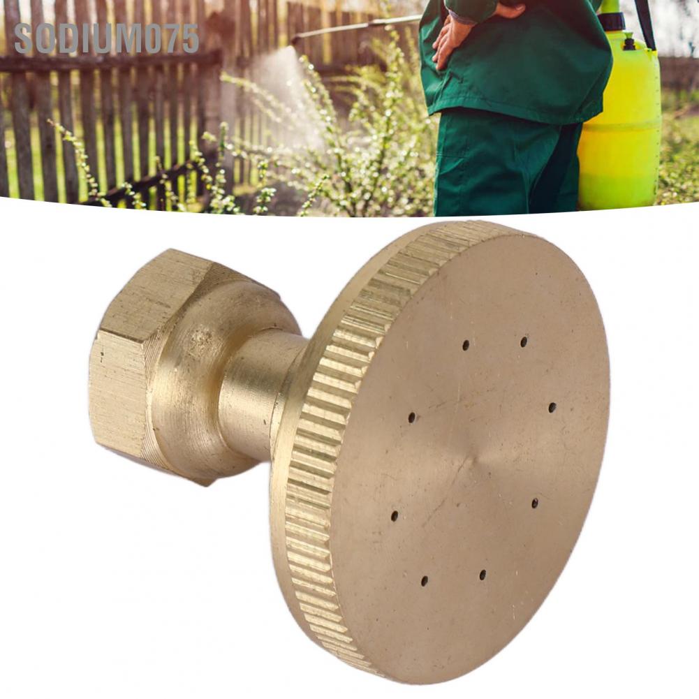 Sodium075 Vòi phun làm vườn Đồng G3 / 8 ren trong Đầu thẳng lỗ ống nước cho nông nghiệp