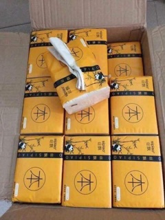 Thùng giấy ăn gấu trúc