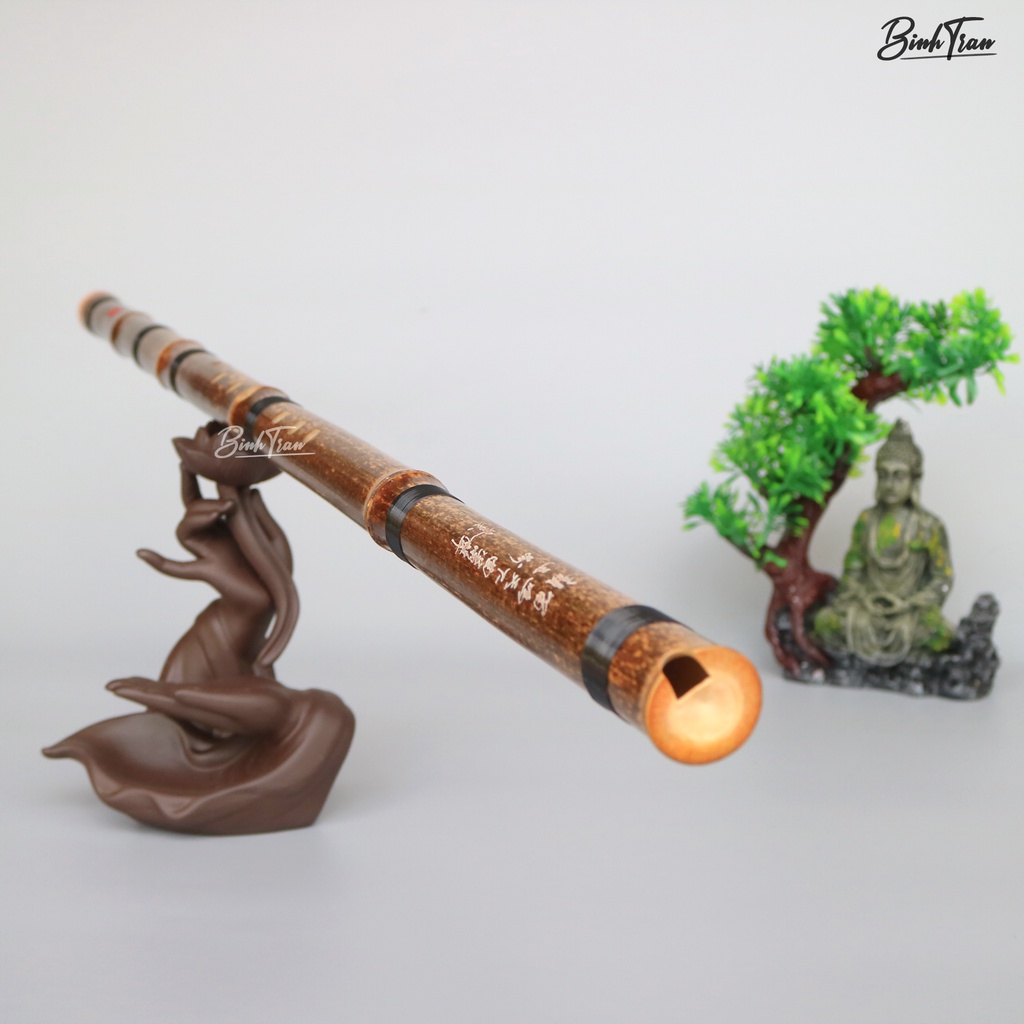 Trường Tiêu XiFeng 6601 Dòng Phổ Thông - Động Tiêu Bát Khổng Trúc Tím