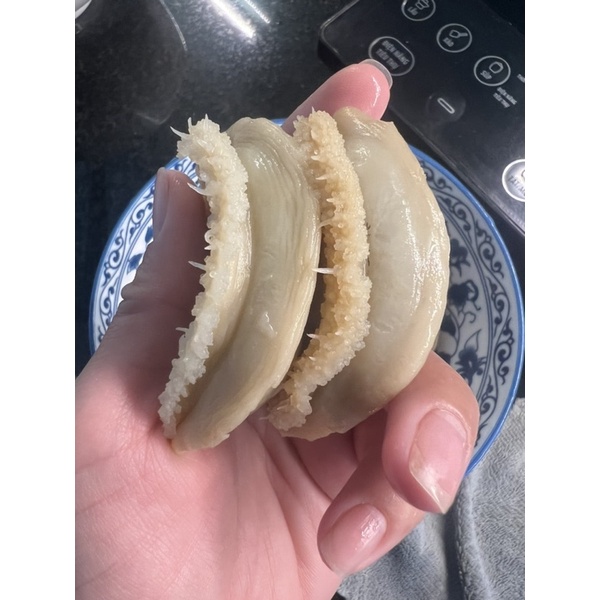 Bào Ngư size khủng