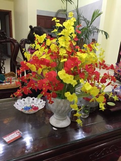 Lan vũ nữ