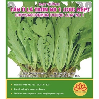Hạt giống tần ô 10gr