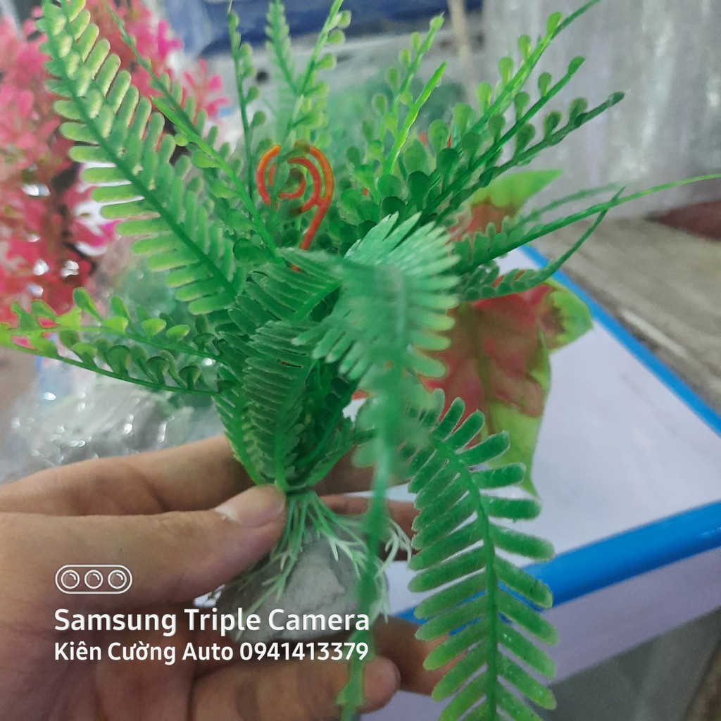 Mô hình trang trí cây nhựa cho bể cá cảnh, bể cá cao cấp