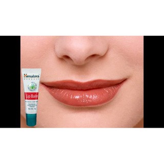 Son dưỡng Himalaya Lipbalm 10g