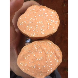 5kg khoai mật đất đỏ size to,siêu mật