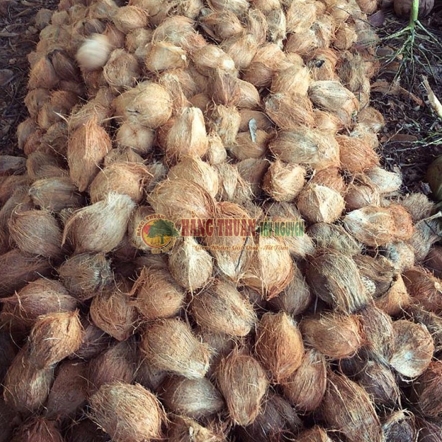 Dầu Dừa Nguyên Chất Handmade