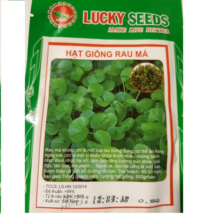 Gói 0,5 gram hạt giống rau má xuất xứ Việt Nam