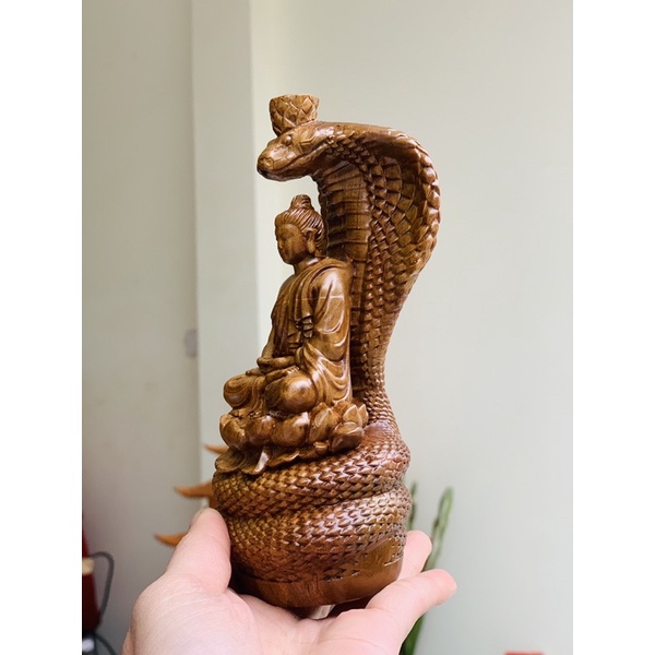 Phật rắn che chở cho đức phật kt 20x11x10