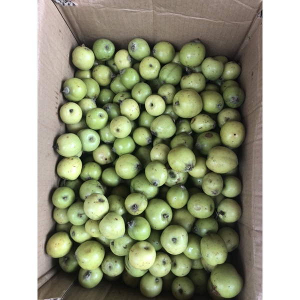 1kg táo mèo tươi chuẩn Tây Bắc