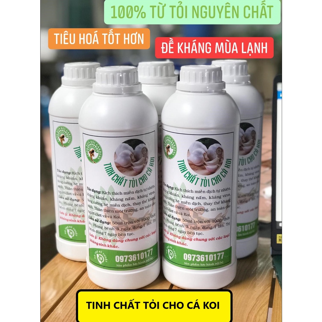 TINH CHẤT TỎI, THẢO DƯỢC PHÒNG BỆNH CHO CÁ KOI