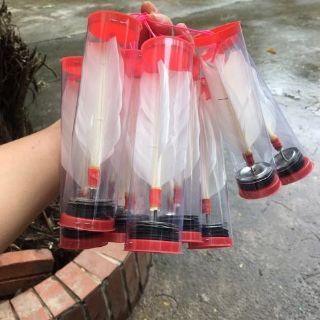 COMBO 10 cầu đá trinh sắt