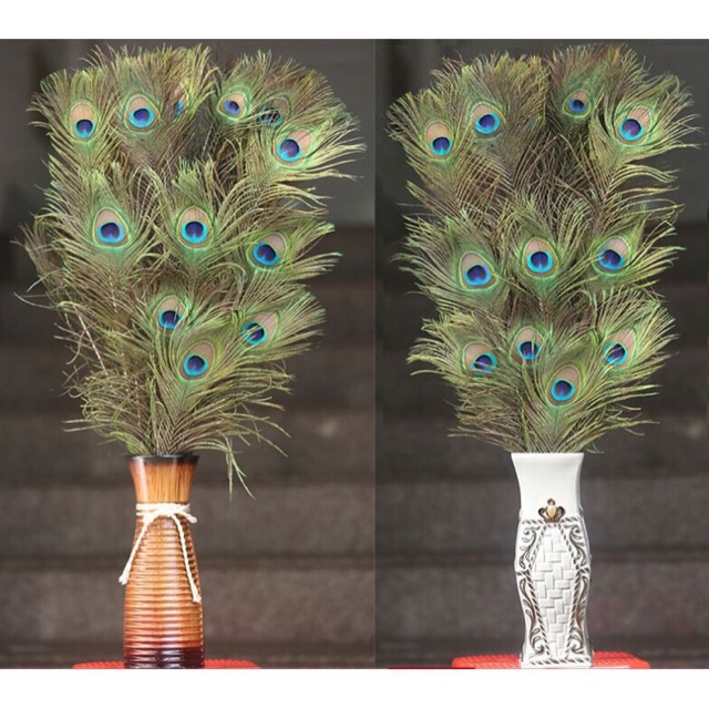 Lông công 80-90cm mắt to đẹp đều 4-6cm | BigBuy360 - bigbuy360.vn