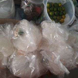 Combo 50b bánh tráng tắc