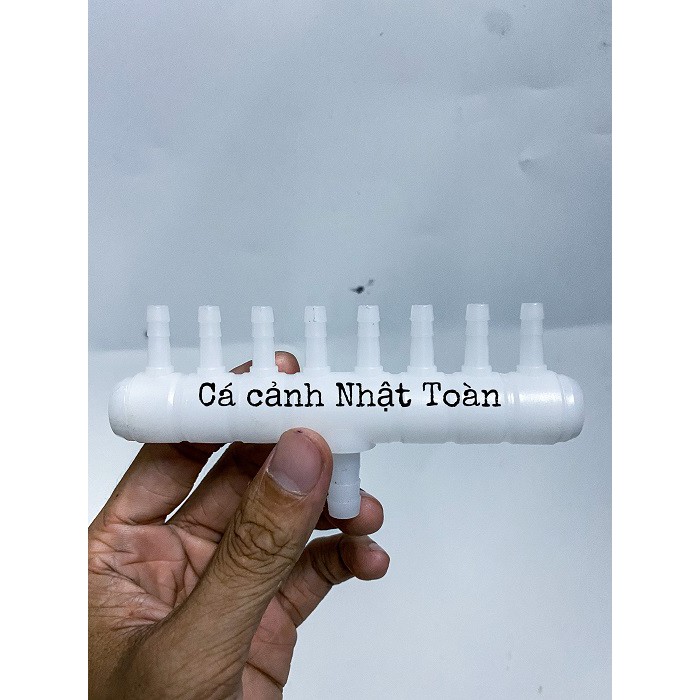 THANH CHIA OXY RA 8 ĐẦU CHO BỂ CÁ CẢNH