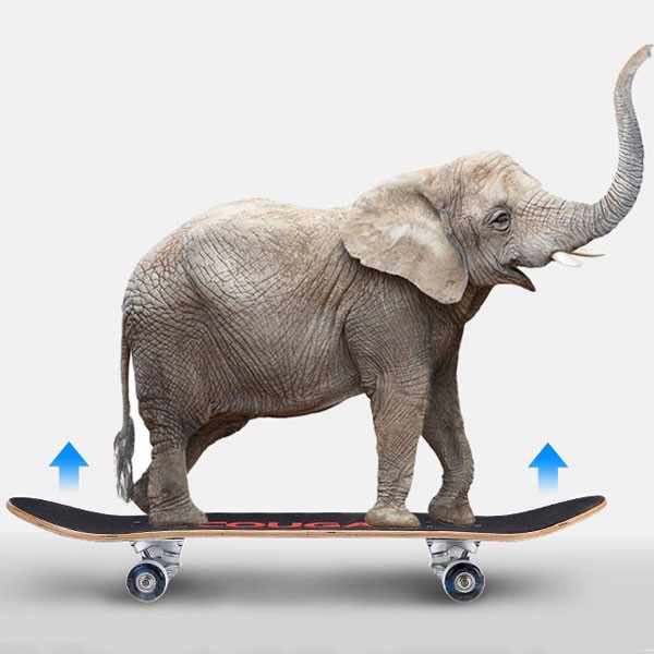 slide