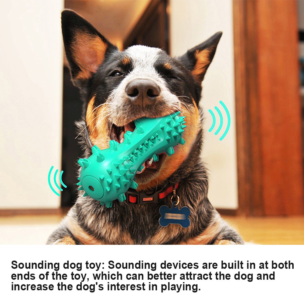 Đồ chơi nhai làm sạch răng vui nhộn cho cún cưng