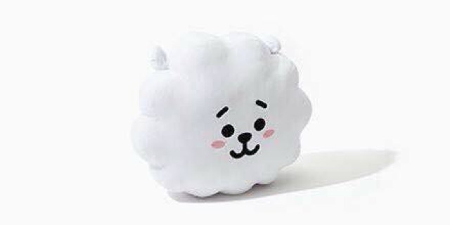 SẴN Gối BTS RUN Bt21 30x40cm