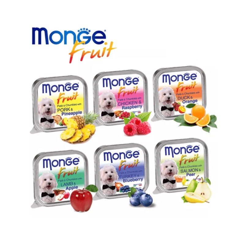 Pate MONGE 100g Cho Chó Thơm ngon, bổ dưỡng, xuất xứ Ý