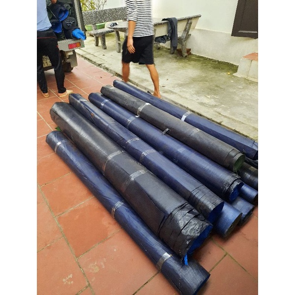 Bể bạt nuôi dế mèn 1x1x0,5 , 2x1x05, 3x1x0,5