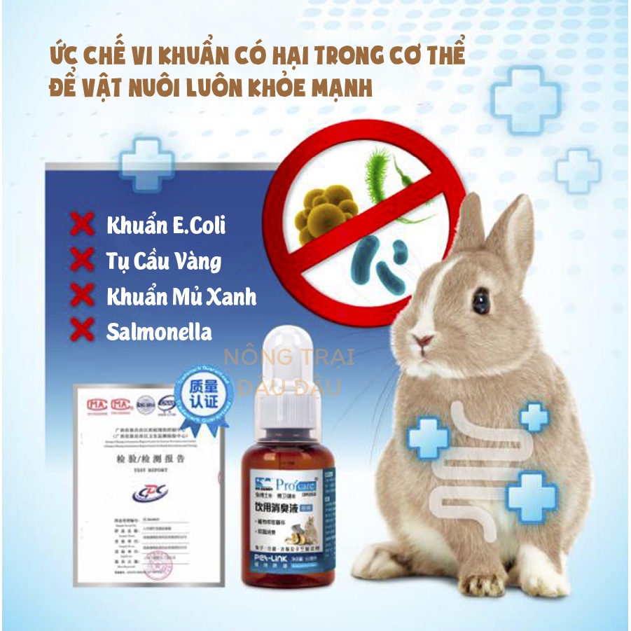 Dung Dịch Uống Khử Mùi Hôi Cho Thỏ, Bọ Ú, Chinchilla, Hamster DRBUNNY 50ml - DR353