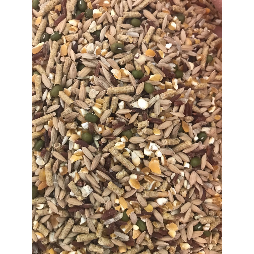 2kg Ngũ Cốc Thực Thẩm Dinh Dưỡng Dành Cho Gà