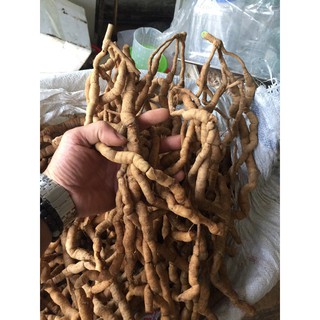 Ba kích tím Quảng Ninh