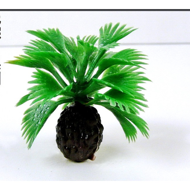 Mô hình cây cau kiểng mini trang trí tiểu cảnh terrarium, nhà mô hình, nhà búp bê