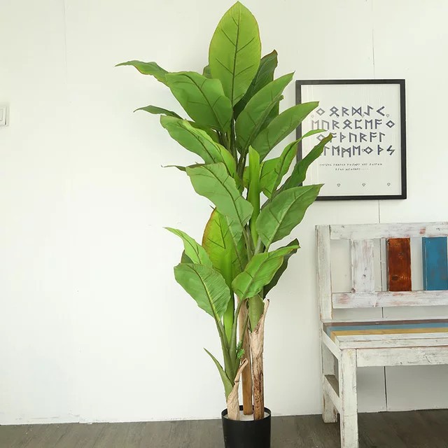 Cây Giả 🌺 Cây Chuối Cảnh Cao 1,7m