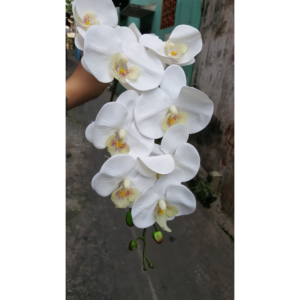 Lan hồ điệp giả bằng cao su 9 bông 90cm loại xịn thân đốm - Hương Flower