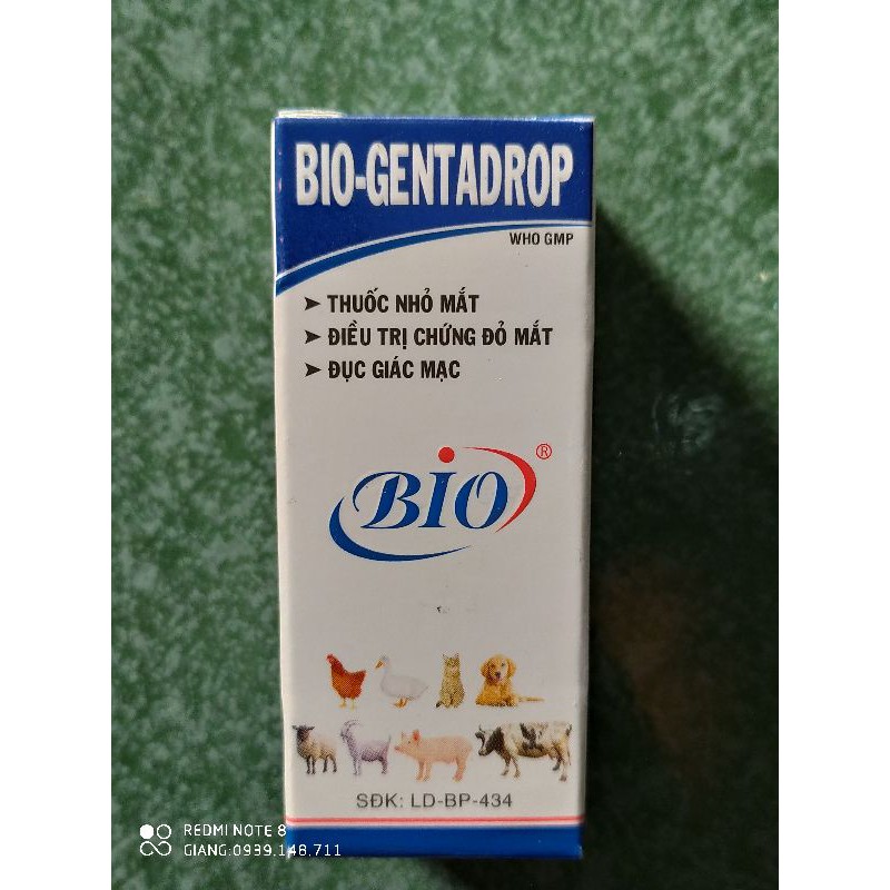 Chai Nhỏ Mắt Bio-Gentadrop 10ml Cho Chó Mèo