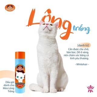 Dầu gội và xả cho mèo Lee Webster 280ml