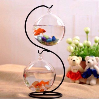 Bể cá cảnh Mini để bàn
