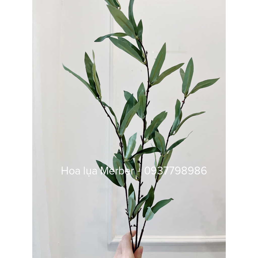 Cành Lá Oliu Giả Cao Cấp Merber (Mơ &amp; Bơ) Loại 6 Nhánh 90cm Màu Kem/Xanh/Xanh Mint - Cành Ô Liu Khô Trang Trí Decor Nhà