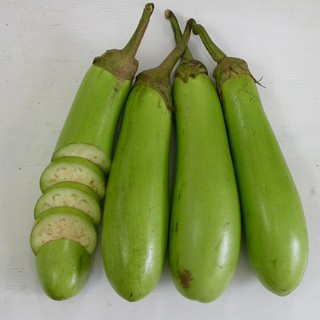 Hạt giống cà xanh mỡ