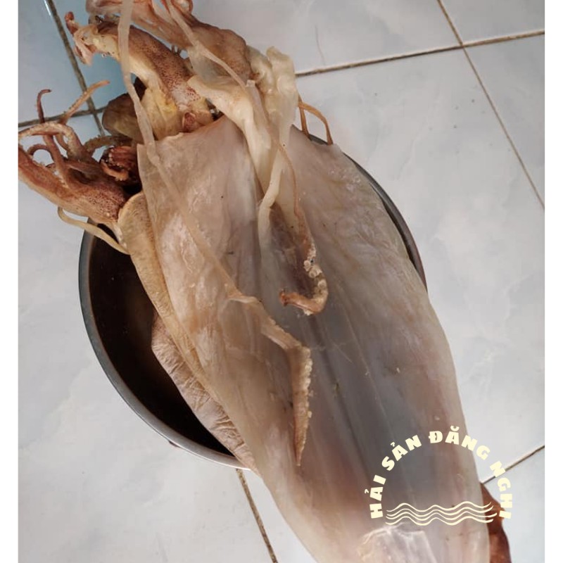 Mực Khô Câu Tay Loại To (7-9 con/kg)  Ngon Nhất Cam Kết Mới Mềm Ngọt Dày Cơm- Lẻ 1 Con | BigBuy360 - bigbuy360.vn