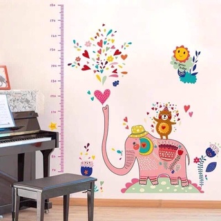 Decal đo chiều cao