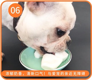 PUDDING - RAU CAU SỮA DÊ DÀNH CHO CHÓ MÈO