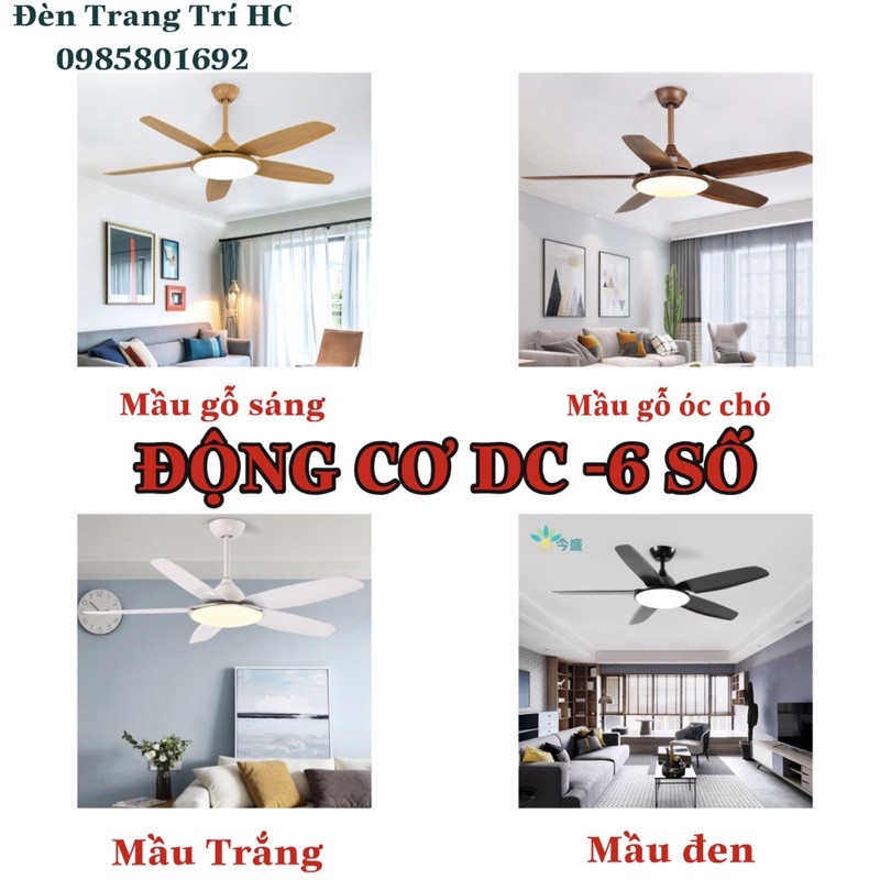 Quạt trần Đèn 5 Cánh Vân Gỗ Hàng Nhập khẩu Có Bảo Hành