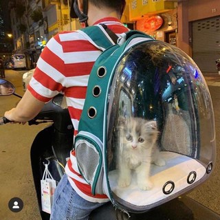 Balo phi hành gia trong suốt chó mèo