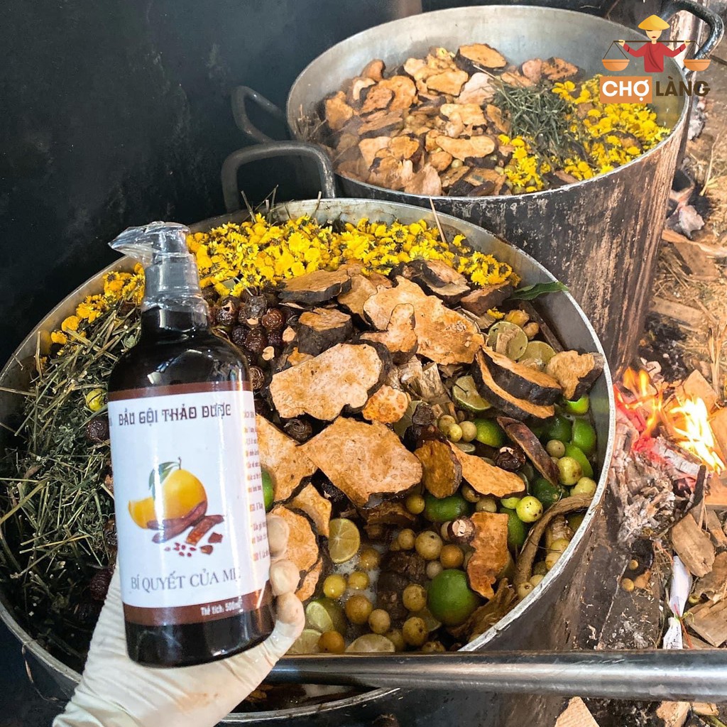 Dầu Gội Bồ Kết [Nguyên Chất Nhà Làm] | BigBuy360 - bigbuy360.vn