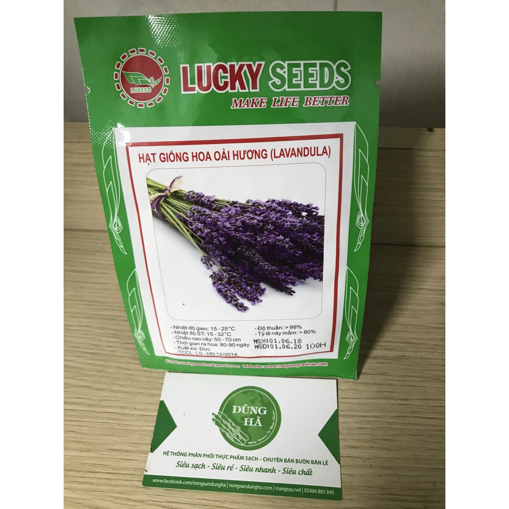 Hạt giống hoa oải hương (LAVANDULA) gói 100 hạt