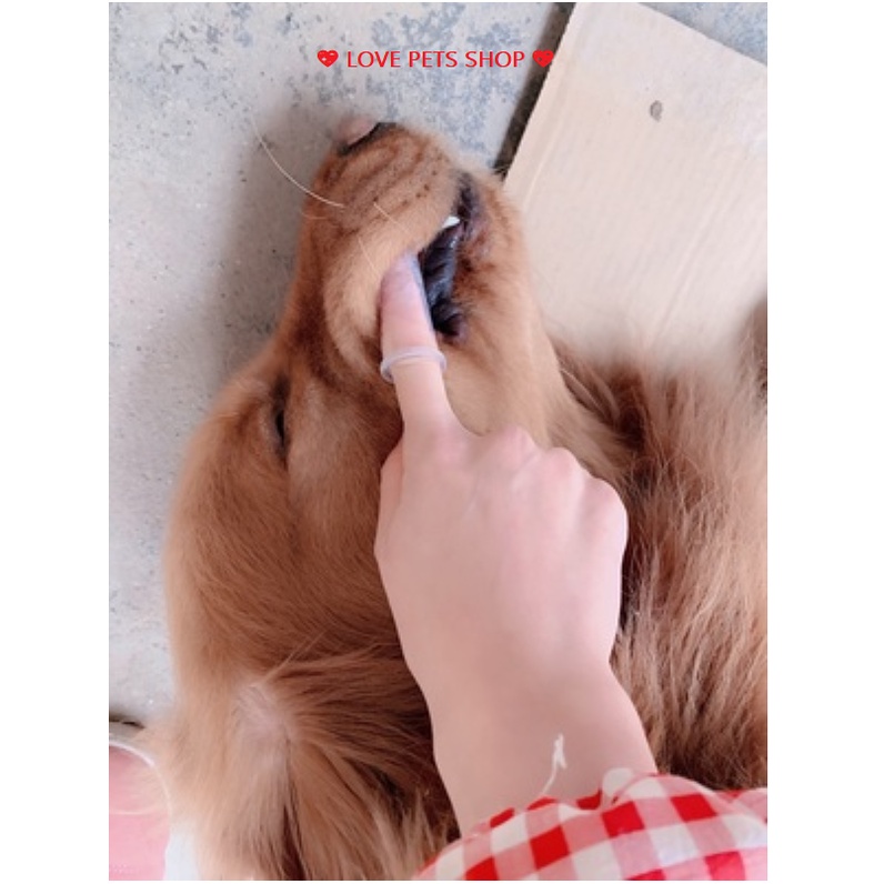 BÀN CHẢI ĐÁNH RĂNG CHO CHÓ MÈO BẰNG SILICON ĐEO TAY (MẪU MỚI) - 💝LOVE PETS SHOP💝