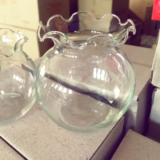 Combo 4 BỂ CÁ THỦY TINH HỒ CÁ CHẬU CÂY MIỆNG BÈO - B3  10cm x 12cm