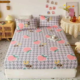Bộ ga gối cotton