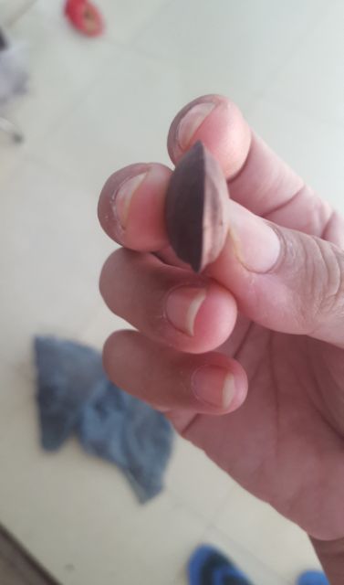 Hạt sachi sấy dòn daklak bịch giấy như hình 500g