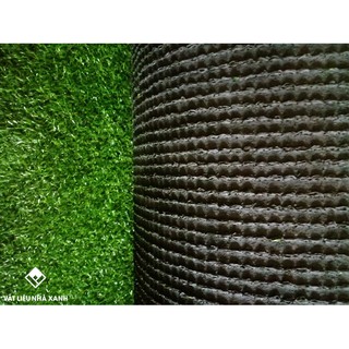 (Quận 12) 1 mét vuông cỏ nhân tạo cao 2cm (ĐỌC KĨ MÔ TẢ)