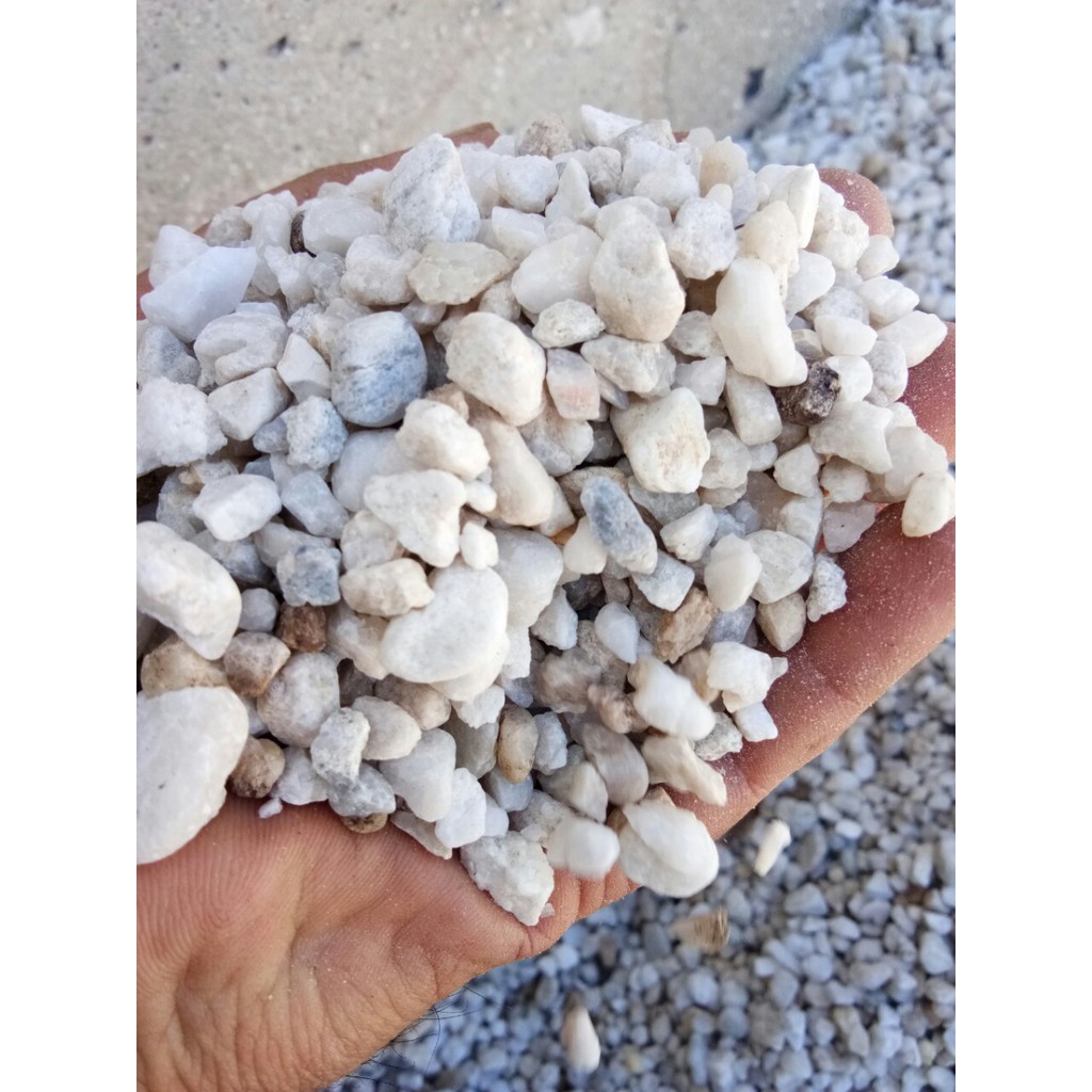 Sỏi hạt thô trang trí bể cá cảnh gói 1kg