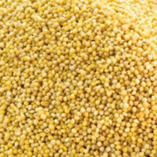 Hạt kê 500g
