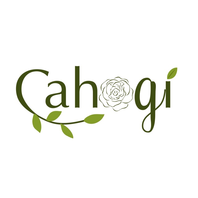 Cây Giả - Hoa giả -Thảm CaHoGi, Cửa hàng trực tuyến | BigBuy360 - bigbuy360.vn